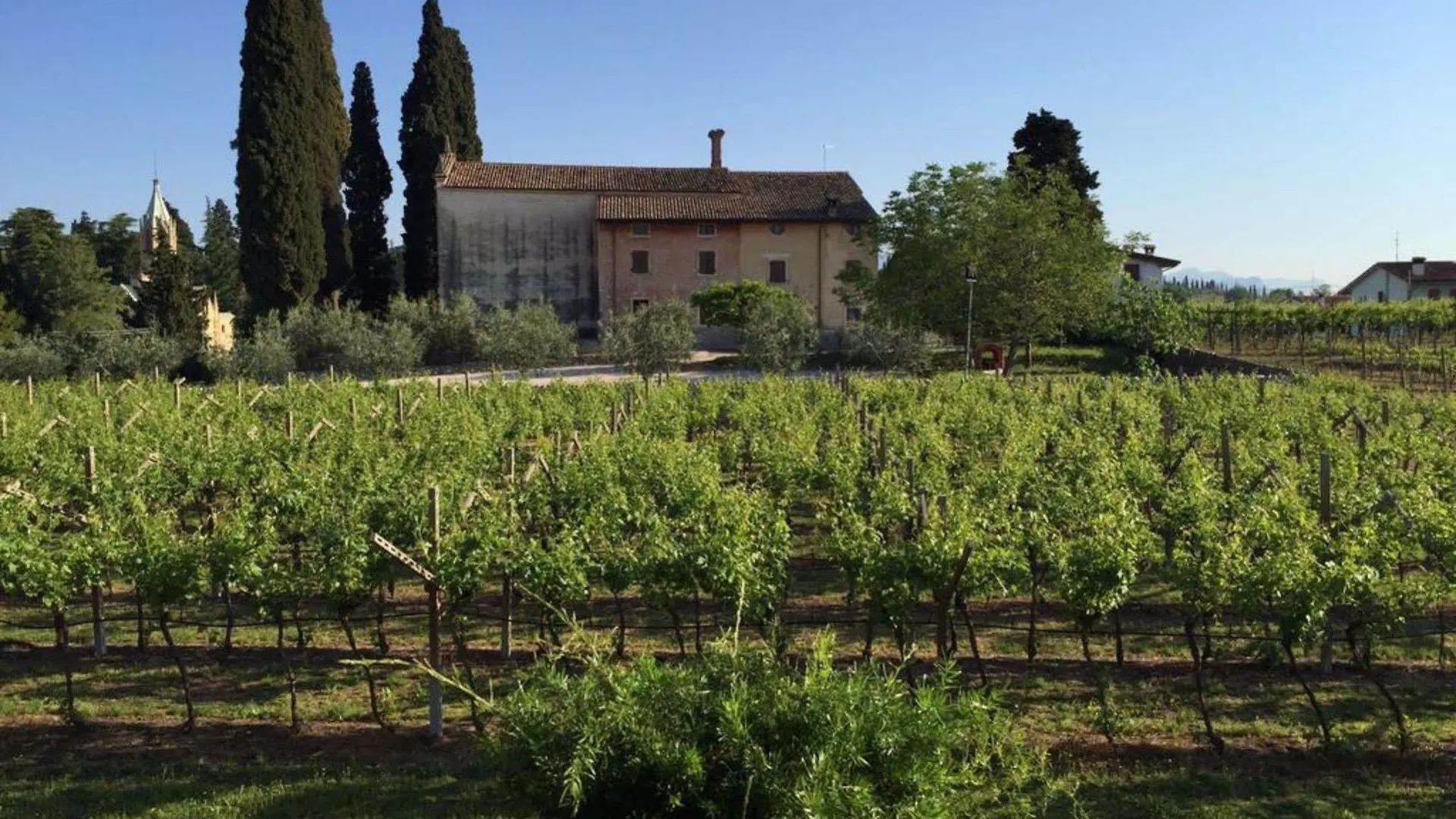 Parco Termale Di Villa Dei Cedri Lazise Szálloda